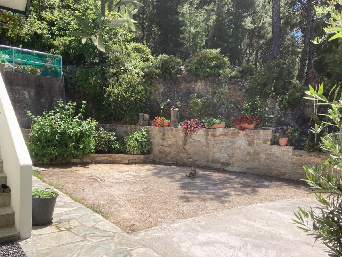 Great & Beautiful Trails Holiday home *